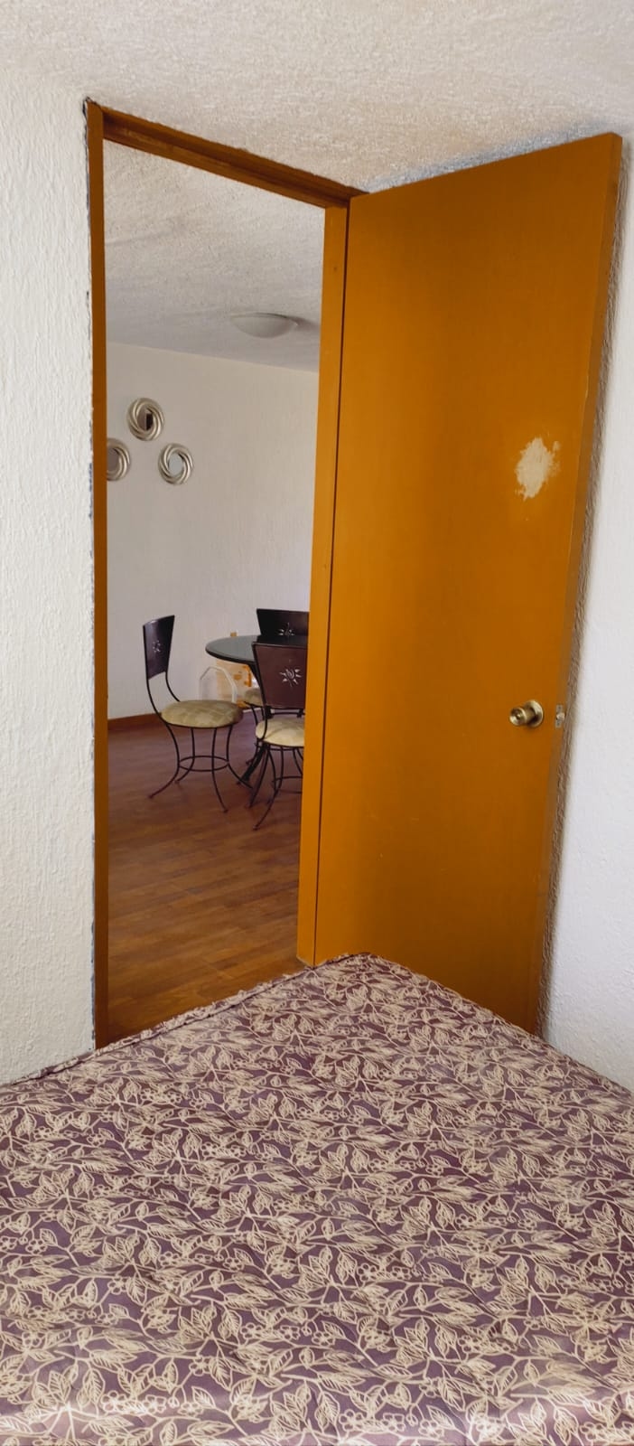 Departamento en renta AMUEBLADO frente a Tianguis del Sol