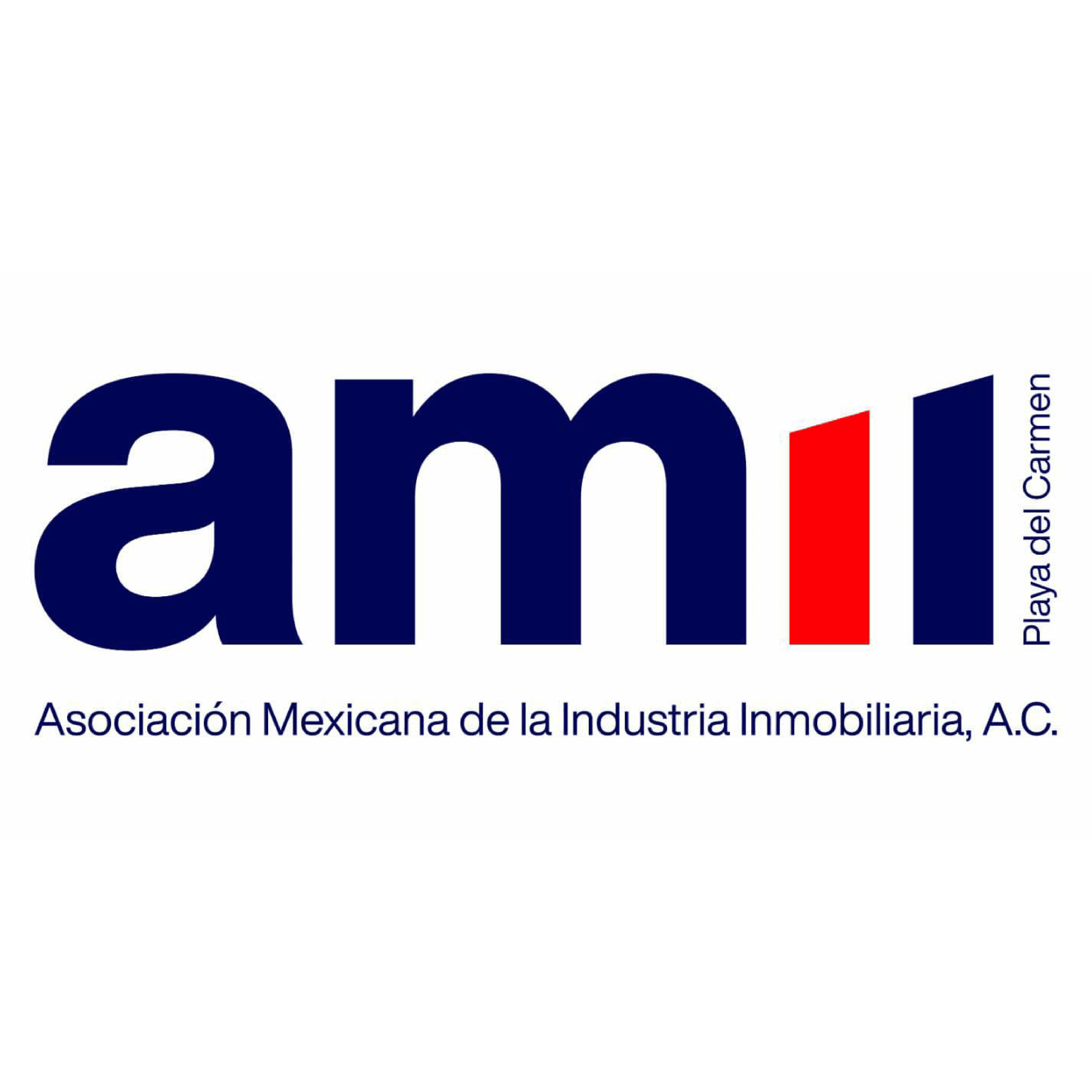 AMII PLAYA DEL CARMEN - Insignia de gremio
