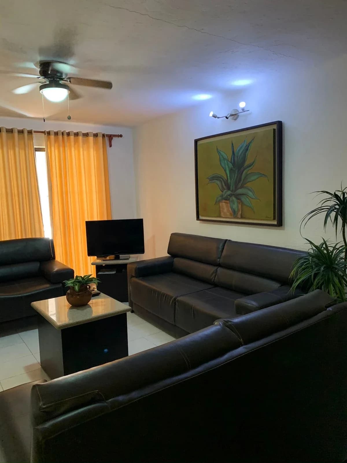 https://yo-rento.s3.us-east-2.amazonaws.com/properties/144080/1777705594684-2d3a65ce.webp